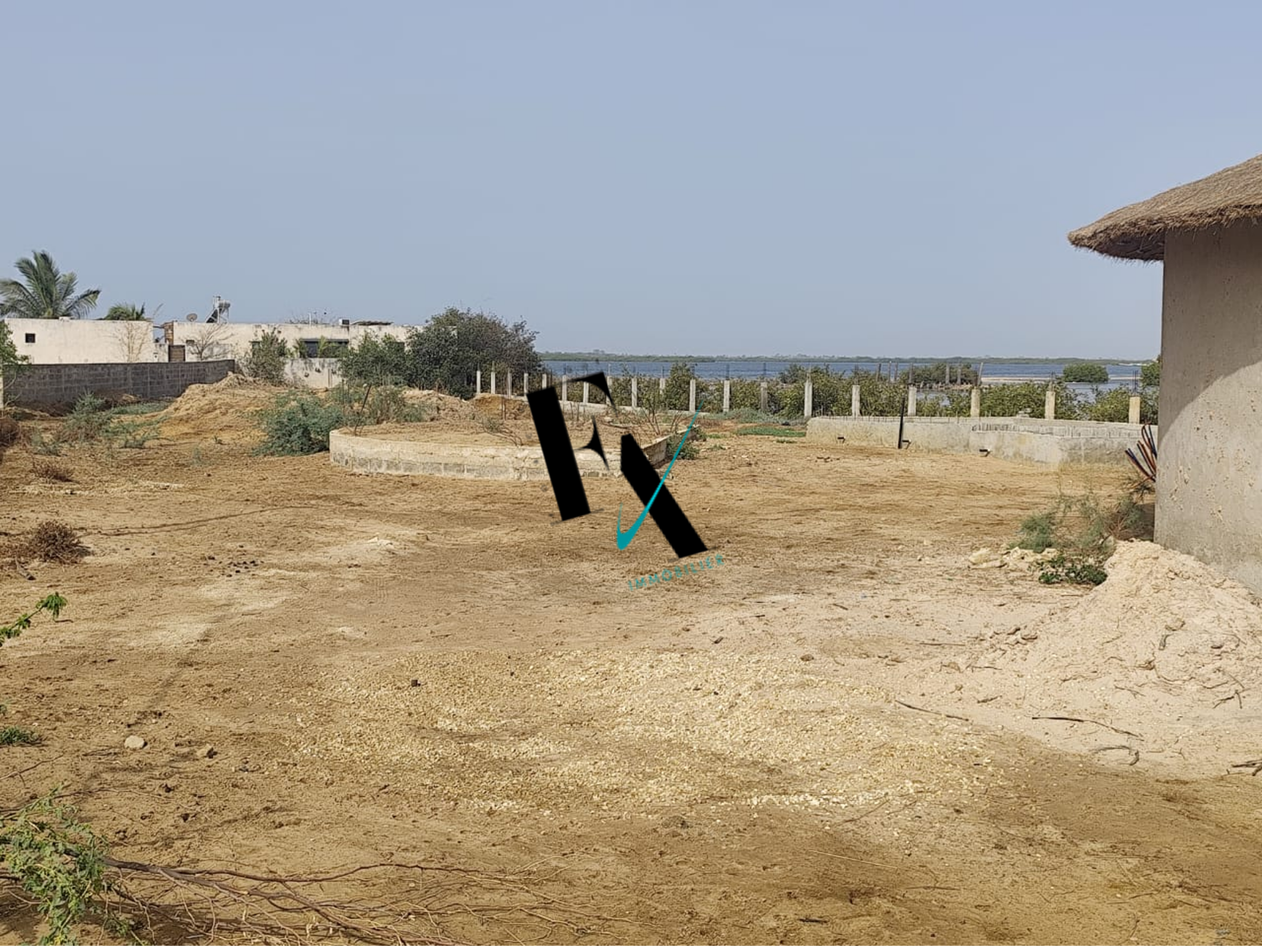 Image6